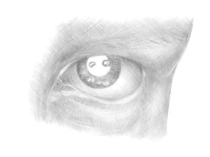 asp kraków grafika rysunek oka
