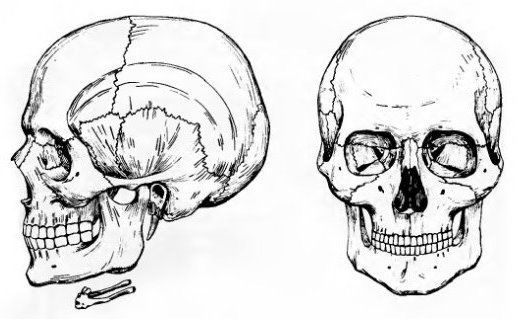 jak narysować czaszkę
